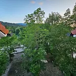 Houston Radovljica